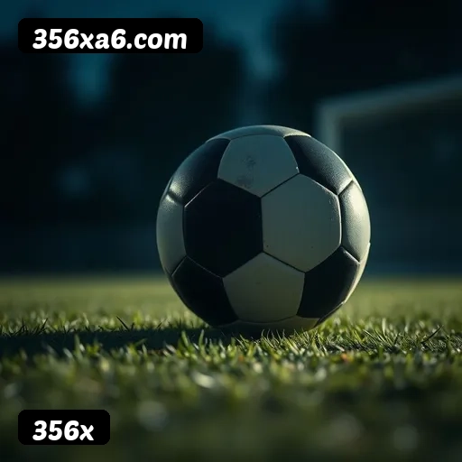 6 vantagens exclusivas do programa VIP da 356x